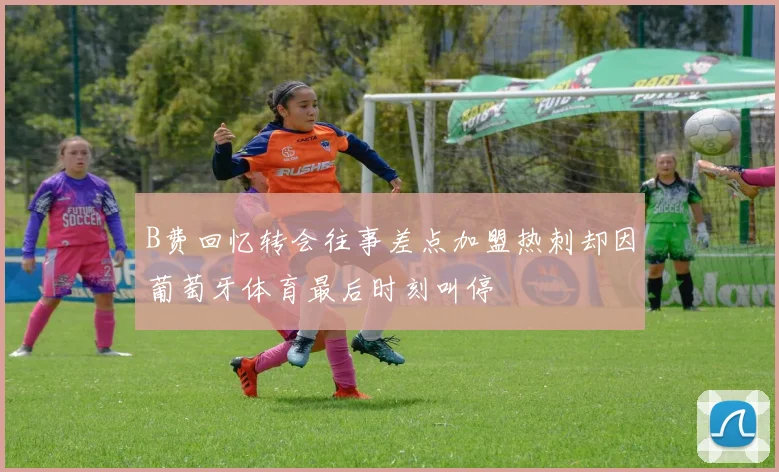 B费回忆转会往事差点加盟热刺却因葡萄牙体育最后时刻叫停